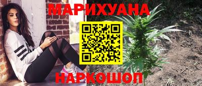 ALPHA PVP Нальчик